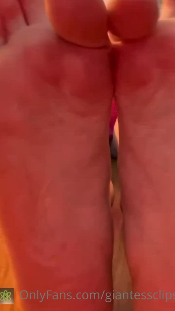 Ltlclips Giantessclips OnlyFans Feet Porn Video